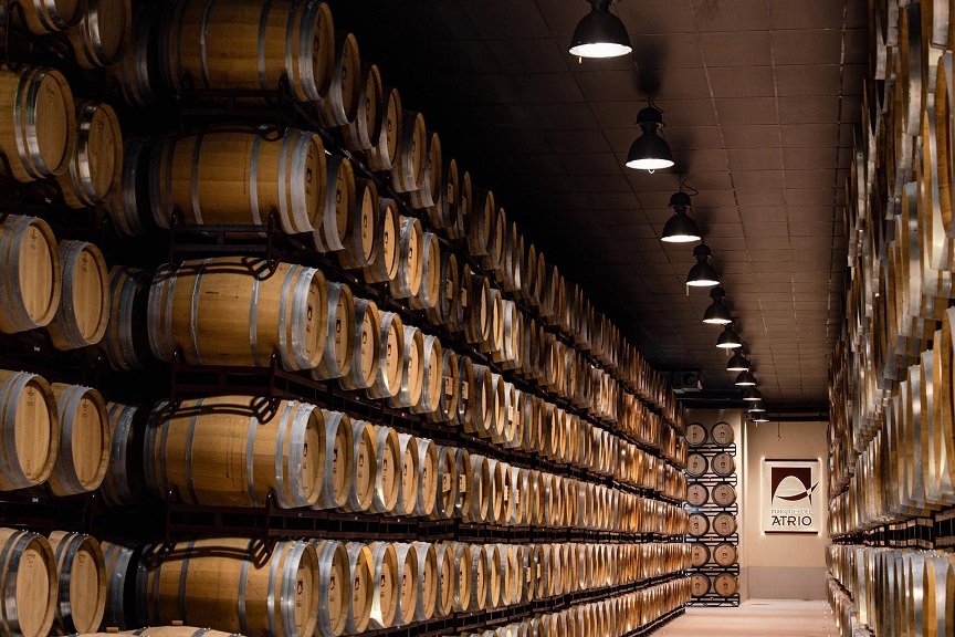 barricas de vino en una bodega