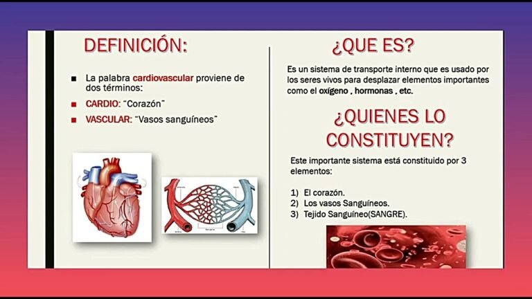 así como consejos sobre cómo acompañar a un amigo en su duelo. La forma en que comunicamos nuestro apoyo puede variar según la relación que tengamos y la situación particular