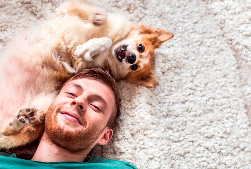perro grande feliz en su casa