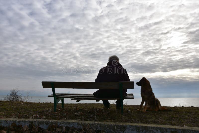 perro y hombre en un paisaje nostalgico