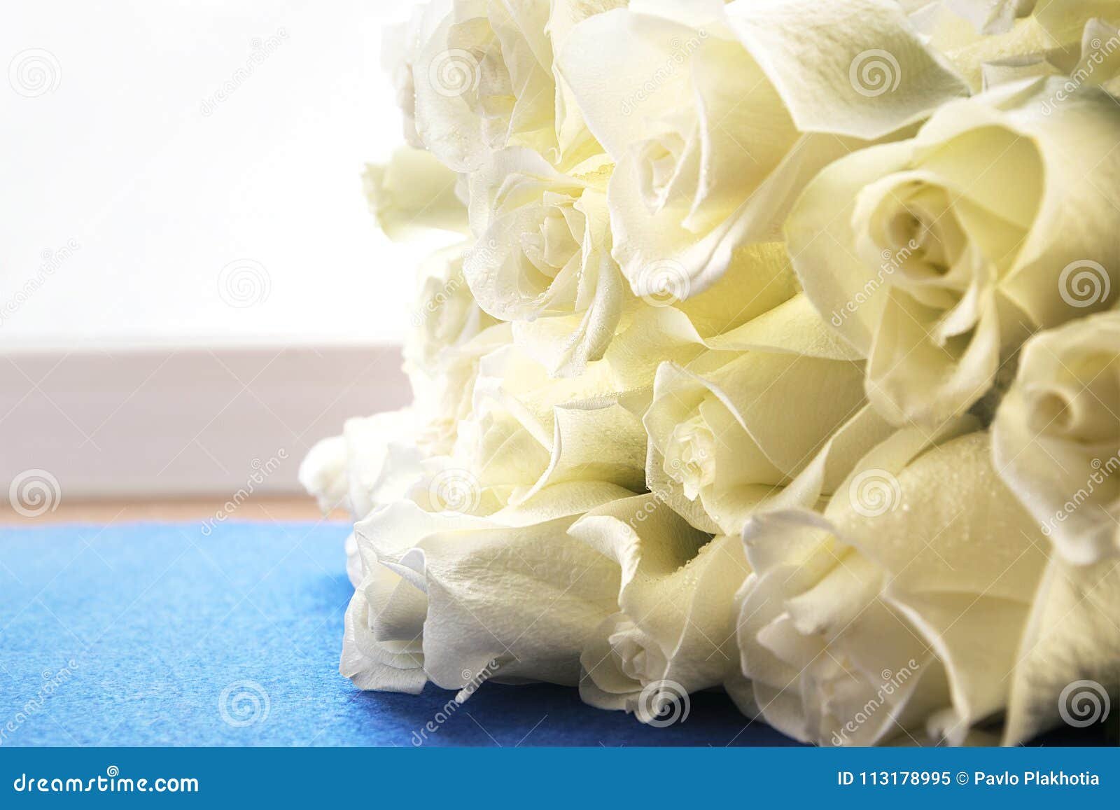 ramo de rosas frescas en fondo elegante