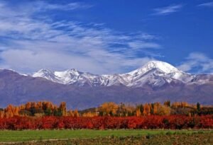 vinedos en tierra del fuego con paisajes